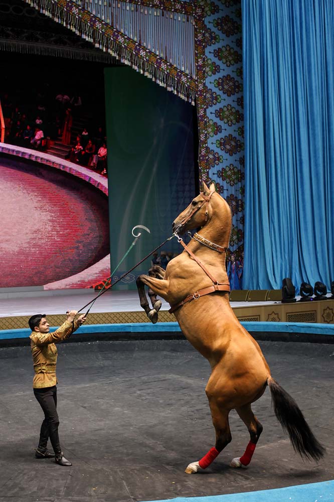 Equestrian group "Galkynysh" performed in the Balkan velayat